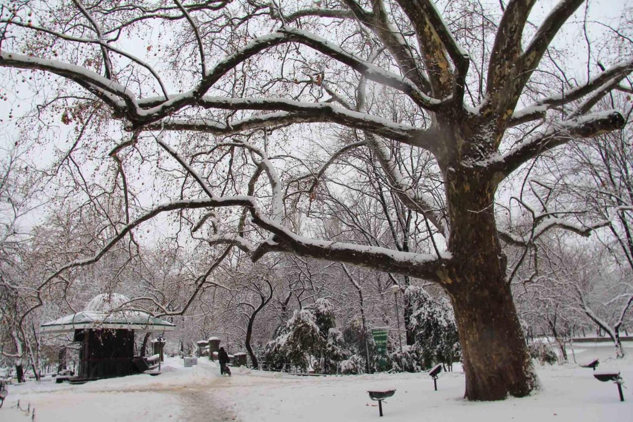Central Park Bukarest Kültér fotó